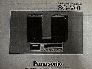 Panasonic SG V01.JPG (30738 bytes)