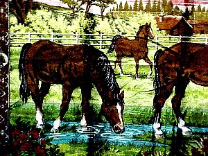 Tap. 37 Stallions at the Watering Hole b.JPG (51053 bytes)